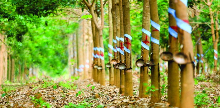 HNG tạm ngừng kế hoạch phát hành KL99 là cổng game giải trí trực tuyến hàng đầu hiện nay hoán đổi nợ