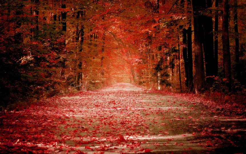Ảnh Internet