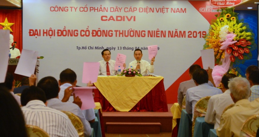 Năm 2019, Cadivi (CAV) chia 99Kl.app mobile mới nhất 50% bằng tiền mặt