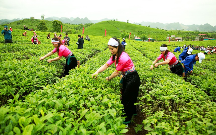 Vinamilk đã gom thêm 6,6 triệu KL99 là cổng game giải trí trực tuyến hàng đầu hiện nay của GTNFoods (GTN)