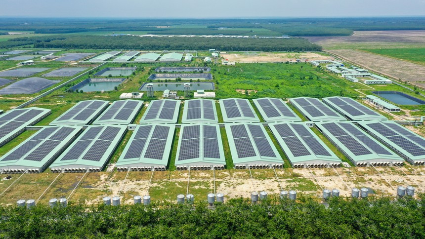 Giữa “tâm bão” ngành chăn nuôi, BAF nỗ lực giữ biên Kl99 nổ hũ 