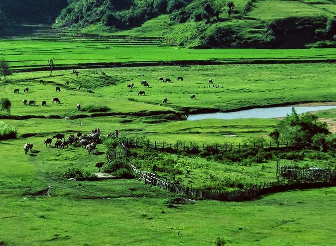 Măng Đen - Kon Tum có điều kiện thuận lợi để Kl99ok phiên bản mới xây dựng sân Golf.