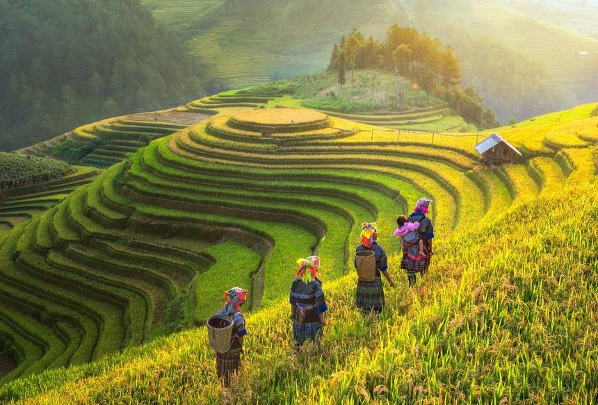 Việt Nam vẫn được các quỹ Kl99ok phiên bản mới “yêu thương”