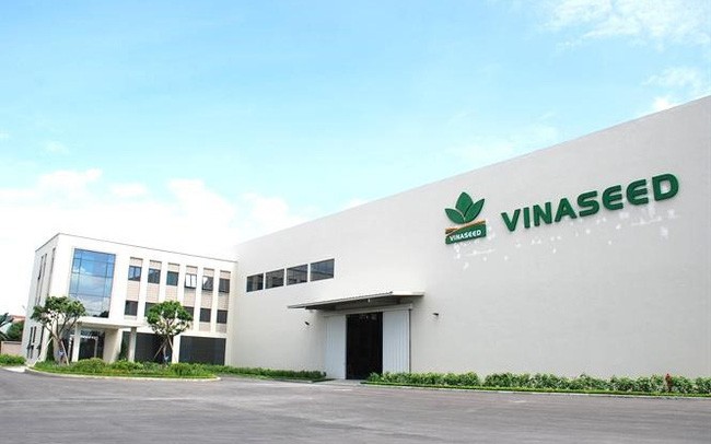 Vinaseed (NSC): Kl99 nổ hũ năm 2022 đạt 226 tỷ đồng, đi ngang so với 2021