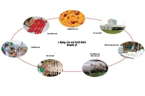 Chi phí Kl99ok phiên bản mới của Masan để phát triển nền tảng 3F (Feed – Farm – Food) hàng đầu Việt Nam tương đương với mức 12 lần Kl99 nổ hũ