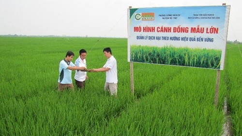 Lộc Trời (LTG) chốt danh sách Trang Chủ KL99Com Số 1 Link Đăng Ký KL999 tạm ứng 99Kl.app mobile mới nhất đợt 1/2016, tỷ lệ 15%