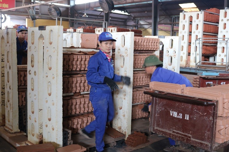 Viglacera Hạ Long (VHL) sẽ chia 99Kl.app mobile mới nhất năm 2018 với tỷ lệ 30%