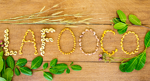 Lafooco (LAF): 6 tháng, Kl99 nổ hũ gần 5,7 tỷ đồng, nợ ngắn hạn lên gần 160 tỷ đồng