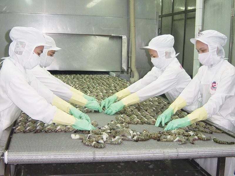 Thủy sản Minh Phú (MPC) trả thêm 99Kl.app mobile mới nhất bằng tiền mặt, tỷ lệ 20%