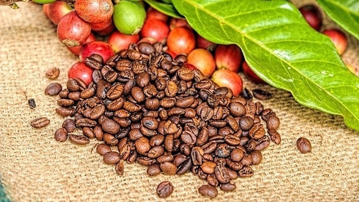 Sử dụng 29 tài khoản thao túng giá KL99 là cổng game giải trí trực tuyến hàng đầu hiện nay CTP, một cá nhân bị phạt 600 triệu đồng