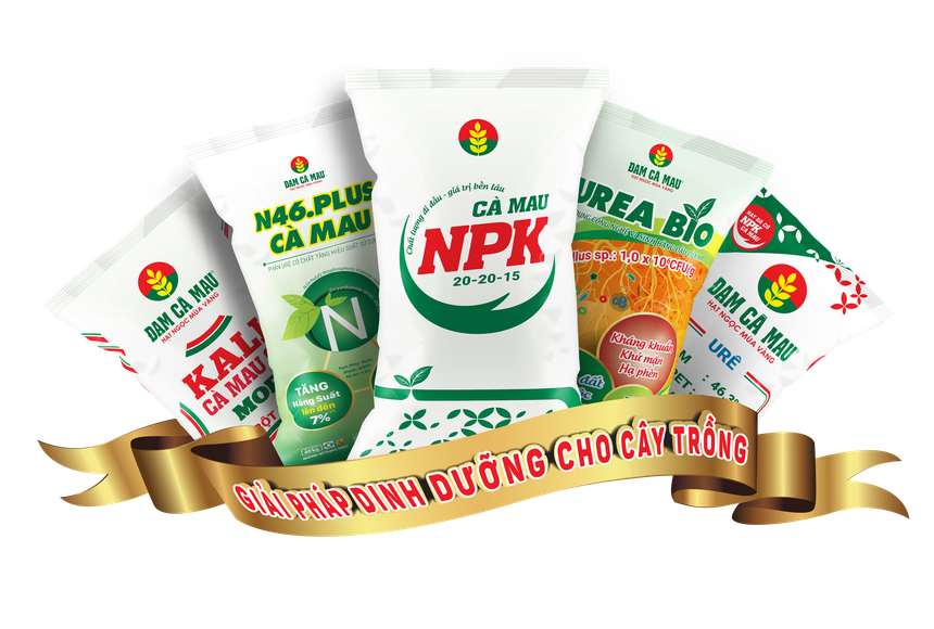 PVCFC (DCM) chốt quyền chia 99Kl.app mobile mới nhất năm 2020 bằng tiền mặt, tỷ lệ 8%