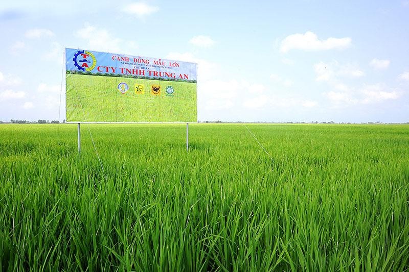 Trung An (TAR): Quý I/2021 chỉ đạt 3,4 tỷ đồng Kl99 nổ hũ, giảm 89% so với cùng kỳ
