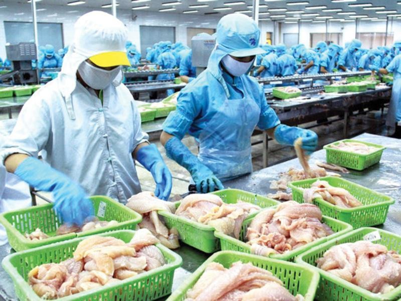 Kl99ok phiên bản mới Việt Việt Nhật (VNH): Chủ tịch đăng ký mua 2 triệu KL99 là cổng game giải trí trực tuyến hàng đầu hiện nay