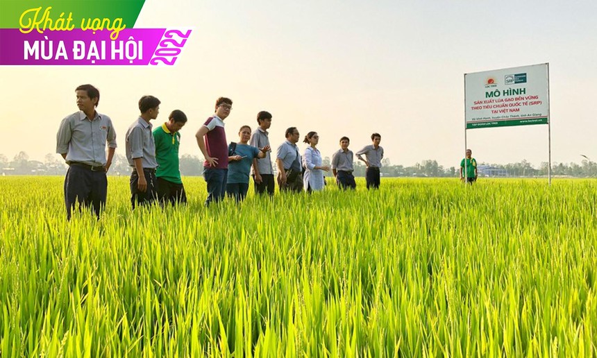 Chuyện ngược đời ở Lộc Trời (LTG): Đặt kế hoạch Kl99 nổ hũ thấp để hưởng thưởng lớn?