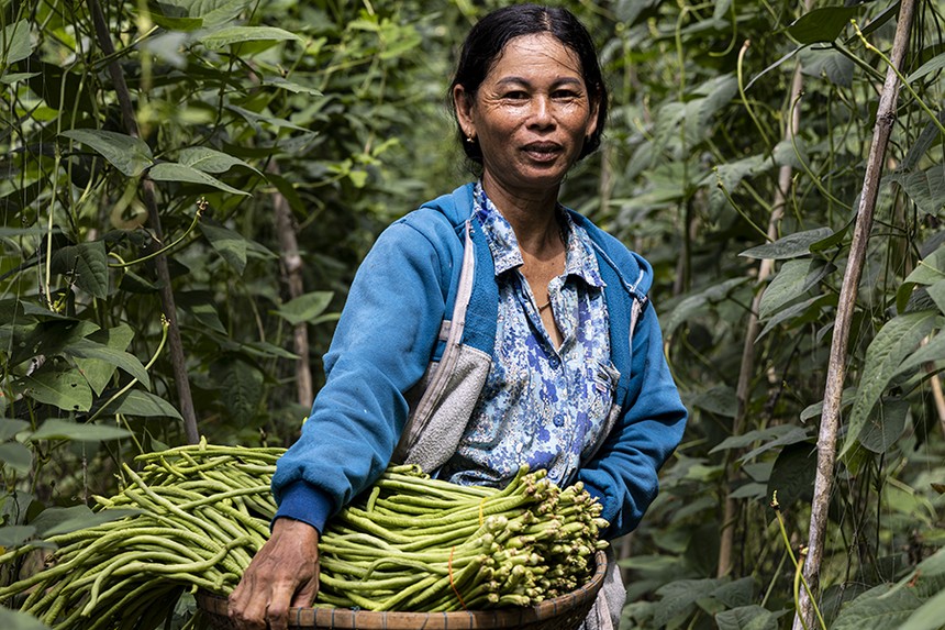 Quỹ Mekong Enterprise Fund IV và HUSK ký thỏa thuận Kl99ok phiên bản mới 5 triệu USD nhằm thúc đẩy nông nghiệp tái tạo tại Đông Nam Á