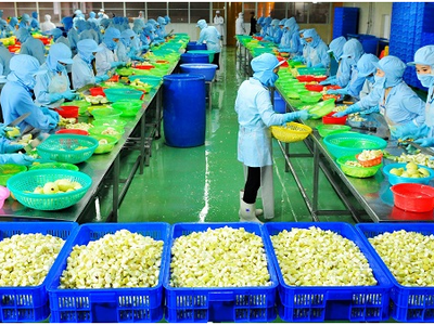 Vật tư kỹ thuật nông nghiệp Cần Thơ (TSC): Kl99 nổ hũ sau thuế quý III giảm 62%