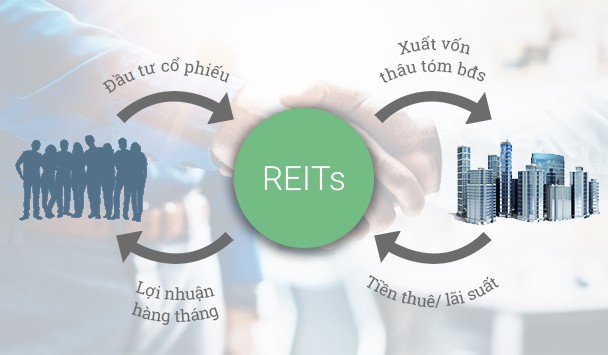 Cần sớm đẩy mạnh phát triển trở lại quỹ Kl99ok phiên bản mới Web Tổng Nhà Cái 99Kl99 Giải Trí Bậc Nhất