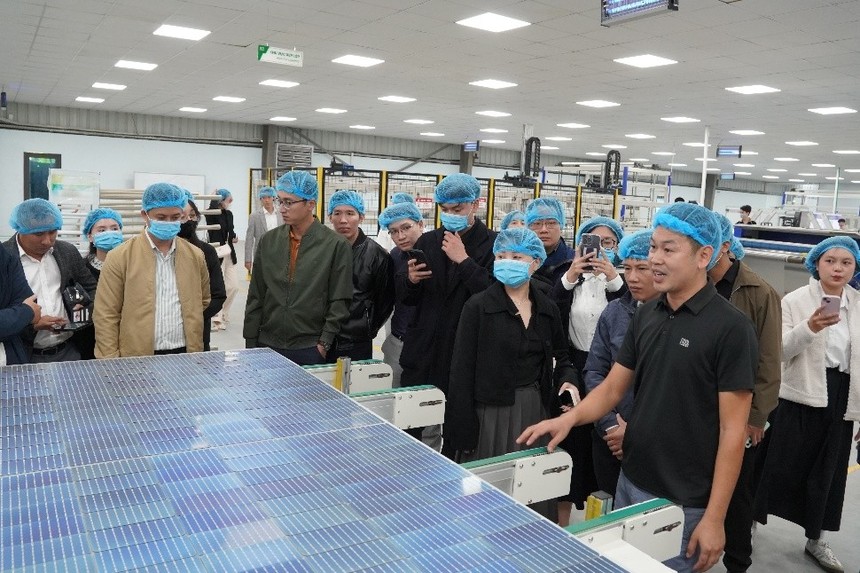 Ban lãnh đạo Damsan giới thiệu và cập nhật tình hình Kl992 VIP Trang Chủ 2026 9 tháng đầu năm 2025