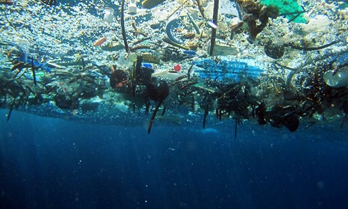Địa Trung Hải bị ô nhiễm nghiêm trọng bởi rác thải nhựa. Ảnh: NOAA.