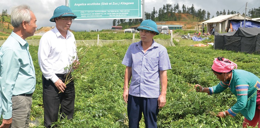 Ban lãnh đạo Traphaco, với nòng cốt là các đảng viên đã đưa Công ty trở thành một trong những Kl991.com World Cup 2026 Chính Thức dược lớn nhất cả nước.
