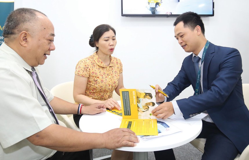 Mảng Kl99kl phiên bản hoạt động nhân thọ luôn đạt tốc độ tăng trưởng ổn định, bền vững với doanh thu tăng trưởng bình quân đạt trên 30%/năm.