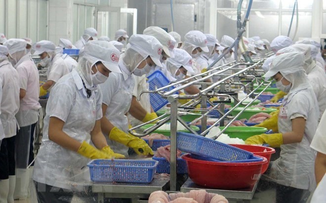 Chế biến thủy Kl994 nhà cái bóng đá world cup khẩu tại Khu Công nghiệp Mỹ Tho. (Ảnh: Minh Trí/TTXVN).