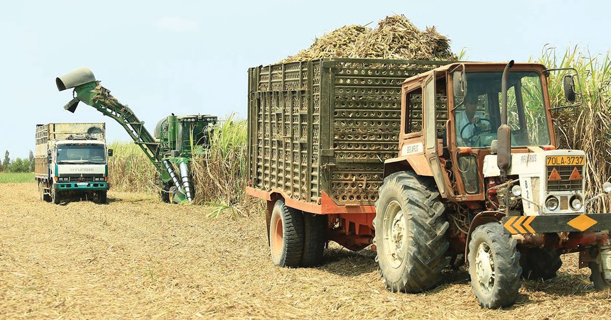 Kl99 nổ hũ SLS (Mía đường Sơn La) giảm mạnh trong quý II năm Kl991.com nạp rút nhanh 2019