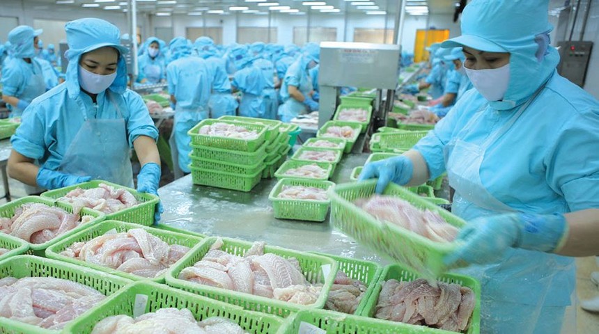 Kl991.com World Cup 2026 Chính Thức thủy sản tăng tốc đón CPTPP