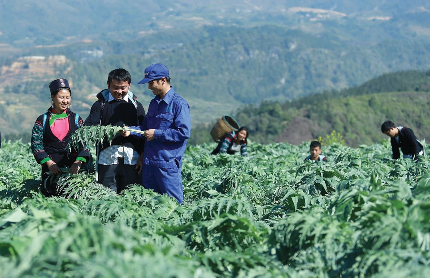 Tiên phong Kl99ok phiên bản mới cho dược liệu sạch: Traphaco vững bước vào kênh ETC 