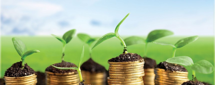Gieo những hạt giống tốt cho thị trường 99Kl99 link đăng nhập