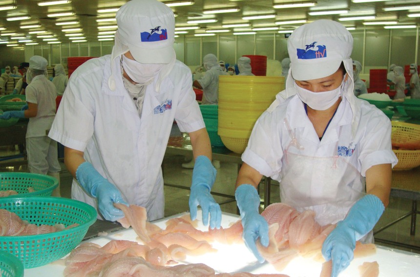 Thủy sản Hùng Vương (HVG) từng công bố báo cáo Kl991.com nạp rút nhanh kiểm toán hợp nhất với mức lỗ 1.075 tỷ đồng, tăng 600 tỷ đồng so với báo cáo tự lập.