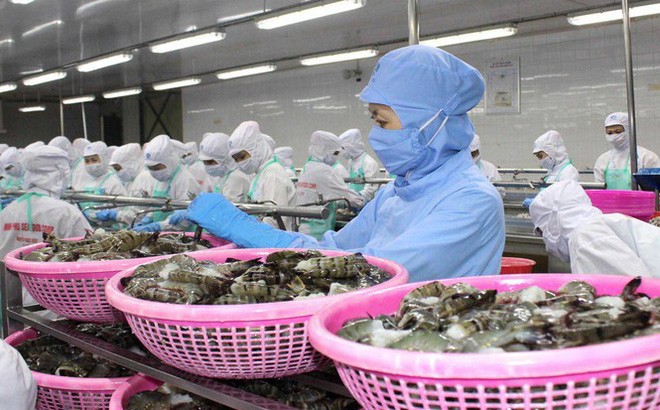 EVFTA được thực thi hiệu quả sẽ tác động tích cực đến thương mại, Kl99ok phiên bản mới giữa Việt Nam và EU.