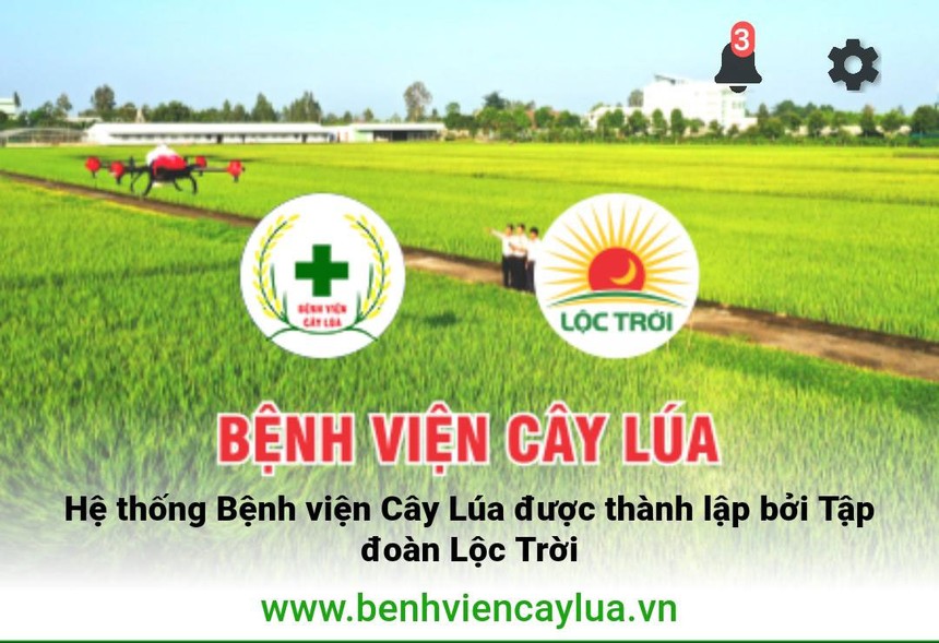 Kl994 game bài casino hấp dẫn Lộc Trời ra mắt ứng dụng “Bệnh Viện Cây Lúa” dành riêng cho người nông dân