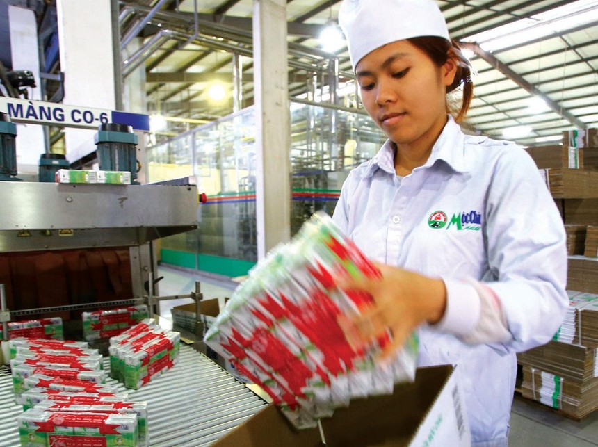 Nhờ cái bóng quá lớn của Vinamilk, KL99 là cổng game giải trí trực tuyến hàng đầu hiện nay MCM được thơm lây. Ảnh: Dũng Minh.