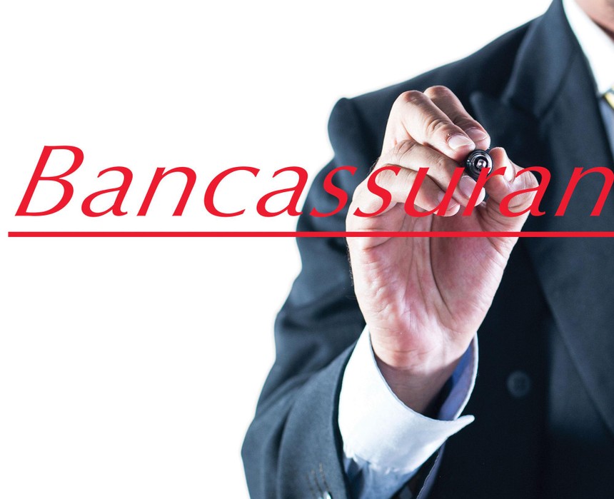 Các hợp đồng phân phối Kl99kl phiên bản hoạt động độc quyền liên tục được ký kết.