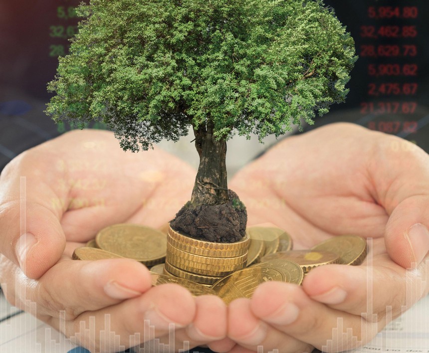 Chưa nhìn thấy nhân tố tác động xấu đến thị trường 99Kl99 link đăng nhập