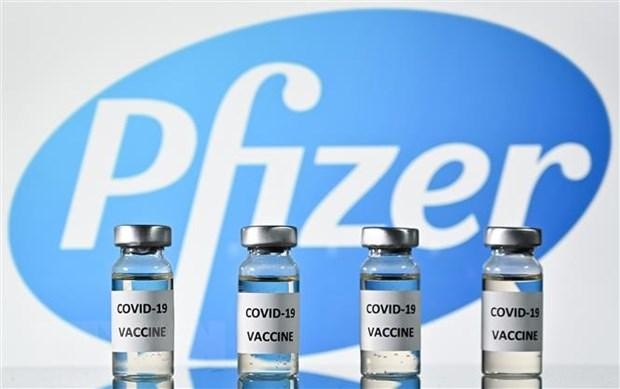 Vaccine do hãng dược Pfizer nghiên cứu và Kl994 nhà cái bóng đá world cup (Nguồn:TTXVN).