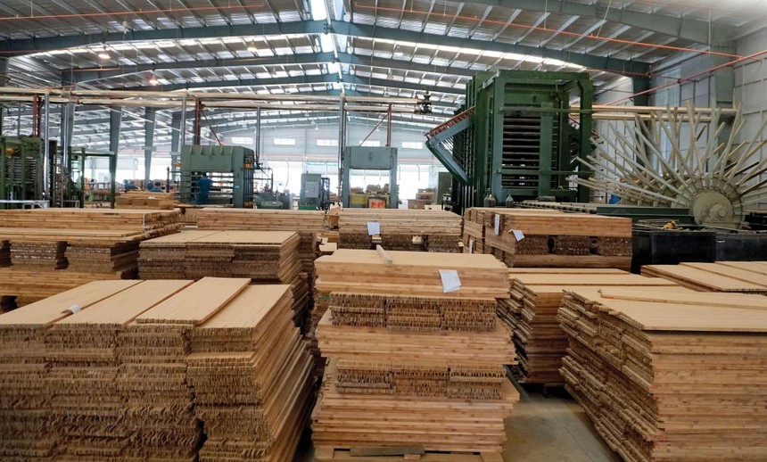 SJF đã Kl99ok phiên bản mới 542 tỷ đồng vào các công ty con, trong đó có các Kl991.com World Cup 2026 Chính Thức chuyên về tre gỗ.