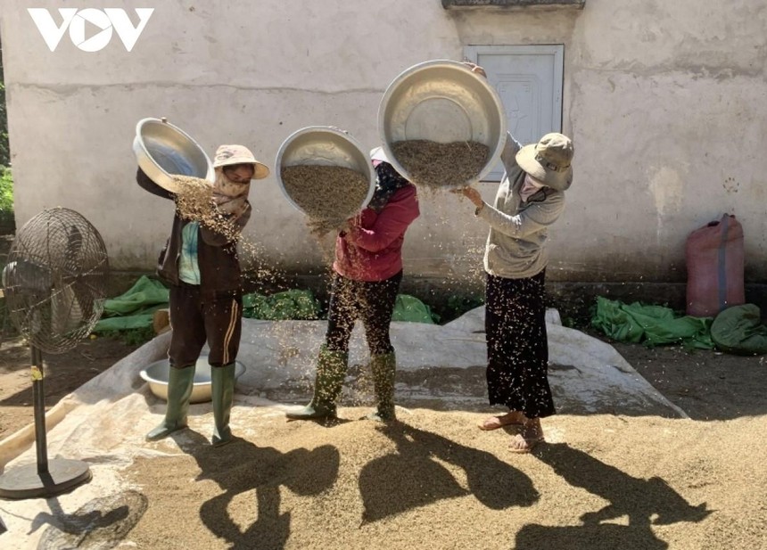 Người dân Đắk Lắk tích cực lao động Kl994 nhà cái bóng đá world cup và tuân thủ nghiêm các quy định phòng dịch