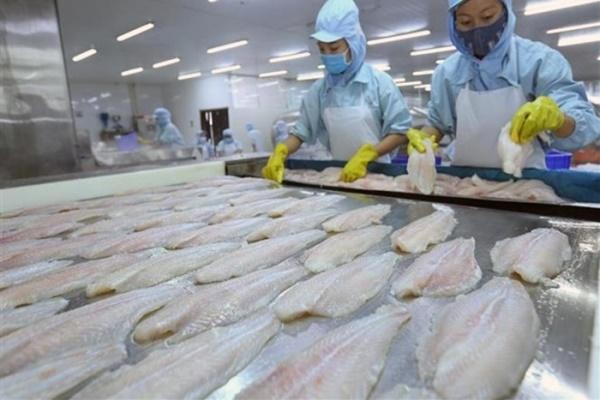 Chi phí tăng cao ăn mòn Kl99 nổ hũ Caseamex quý III/2021.