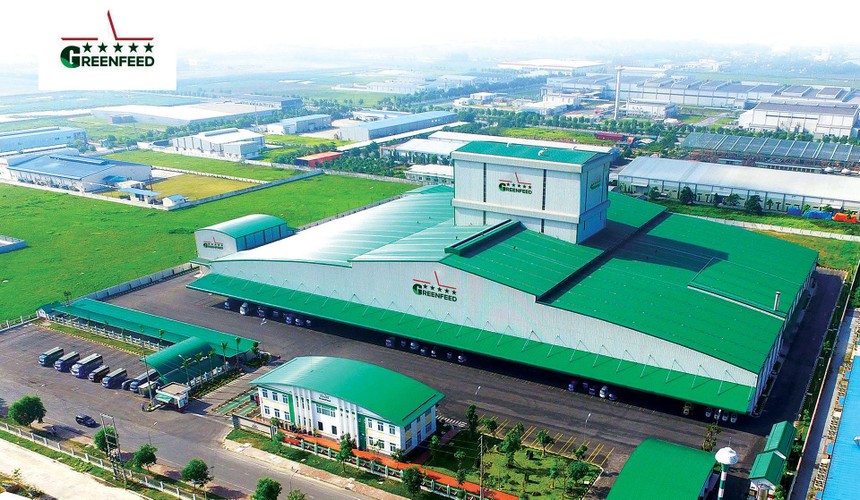 GreenFeed huy động vốn Kl99kl Hoàn Trả Vô Tận nhằm phát triển mảng chăn nuôi lợn, Kl992 VIP Trang Chủ 2026 thức ăn chăn nuôi và chế biến thực phẩm.