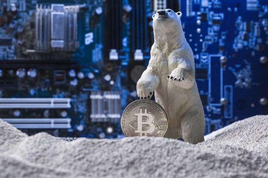 Giá Bitcoin hôm nay ngày 7/1: Mùa đông tiền điện tử đã đến?