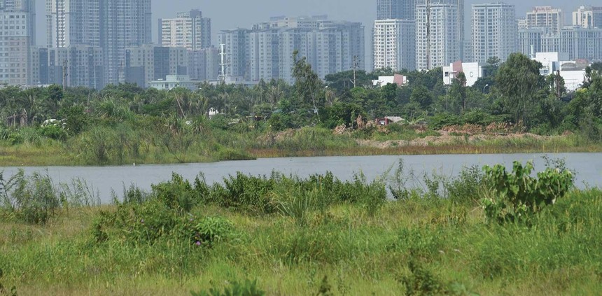 Chiêu "hô biến" đất 99Kl99 trực tiếp đá gà tại Tổng công ty 3-2