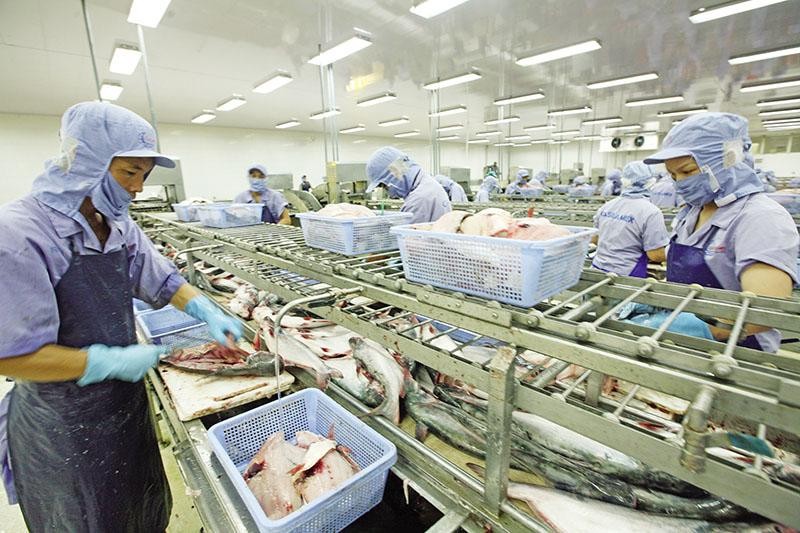 Thủy sản là ngành dính nhiều vụ kiện phòng vệ thương mại, nhưng các Kl991.com World Cup 2026 Chính Thức đã vượt qua. Ảnh: Đức Thanh.