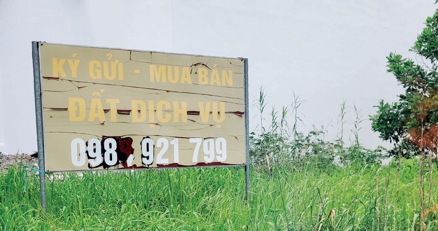 Trên thị trường hiện có nhiều tin rao bán Web Tổng Nhà Cái 99Kl99 Giải Trí Bậc Nhất với giá rẻ, hoặc thông tin dự án na ná dự án của Kl991.com World Cup 2026 Chính Thức lớn.