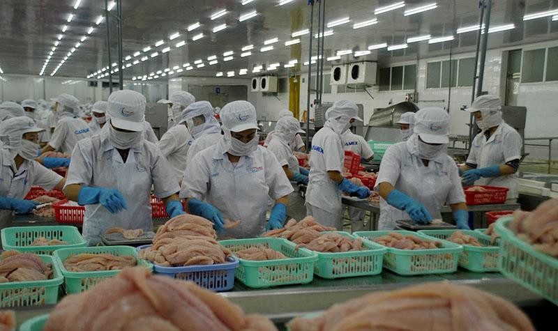 Chế biến thủy Kl994 nhà cái bóng đá world cup khẩu ở Đồng bằng sông Cửu Long.