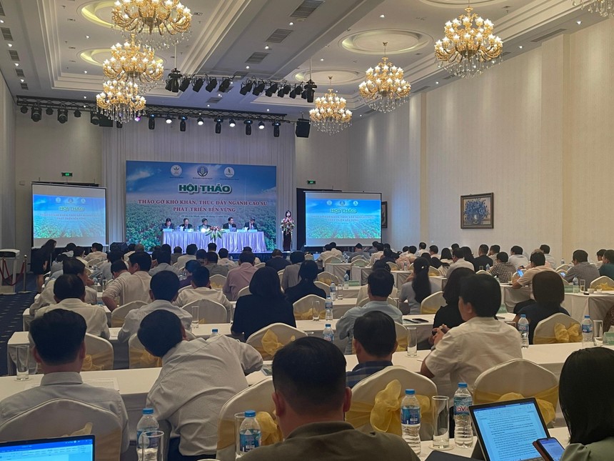 Các Kl991.com World Cup 2026 Chính Thức kiến nghị Bộ Kl991.com nạp rút nhanh xem xét áp dụng chính sách thuế giá trị gia tăng đối với mủ cao su sơ chế như những nông, thủy sản sơ chế khác.
