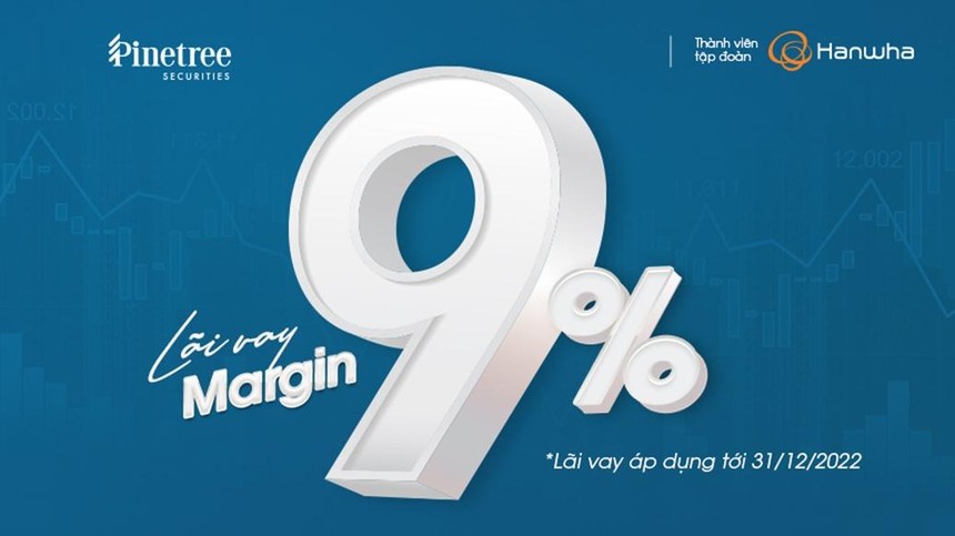 Phản ứng nhà Kl99ok phiên bản mới trái ngược khi Pinetree vẫn giữ lãi margin thấp 9%