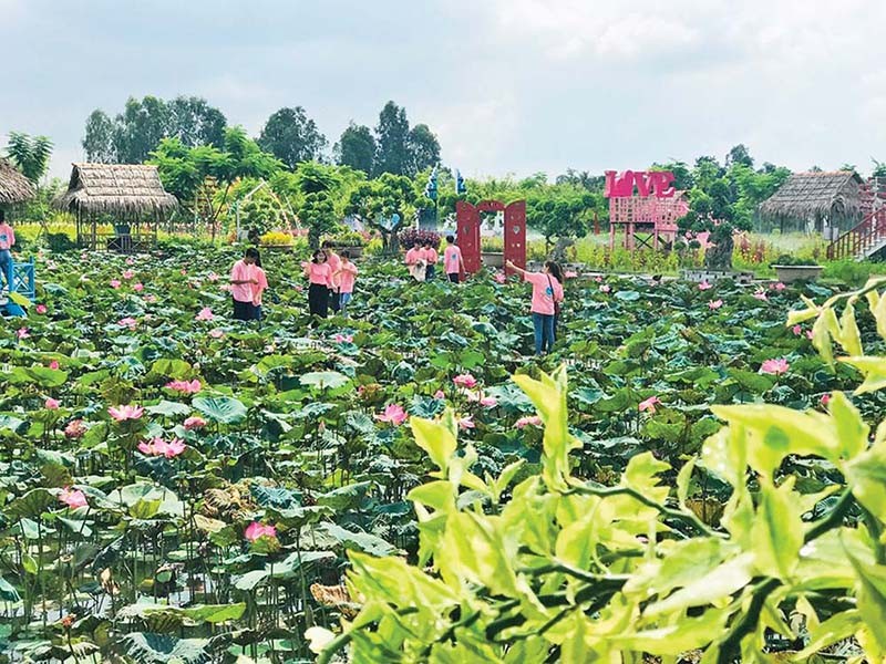 Đồng Tháp quan tâm Kl99ok phiên bản mới phát triển Kl99kl ưu đãi độc quyền và hỗ trợ sinh kế phát triển ngành hàng sen.