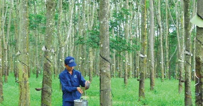 DPR: Năm 2015, Kl99 nổ hũ vượt gần 20% kế hoạch